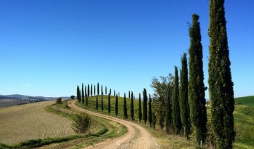 Catasto delle strade bianche e territorio